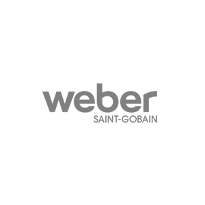 Webeer logo gris